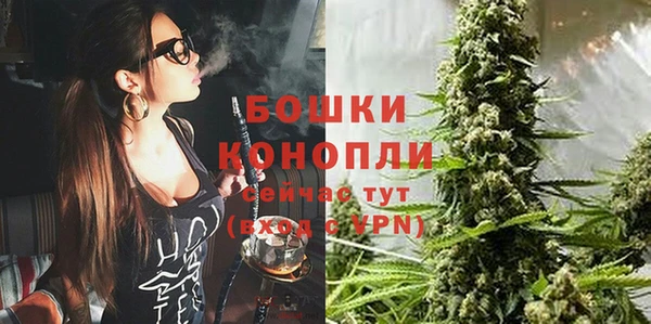 индика Протвино