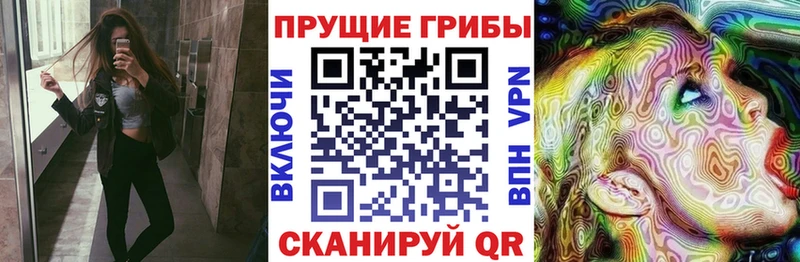 OMG вход  Вольск  Галлюциногенные грибы мицелий  даркнет сайт 